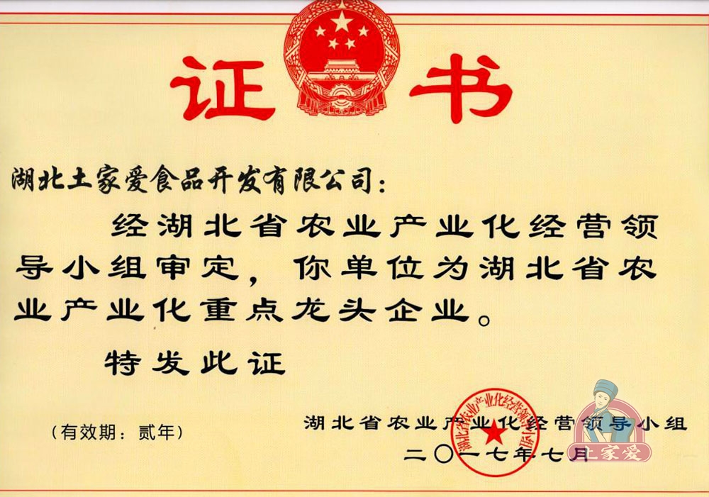 荣誉证书5.jpg