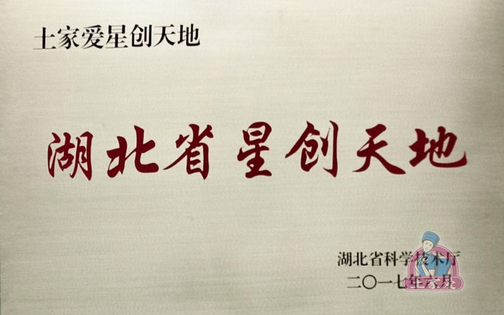 荣誉证书6.jpg