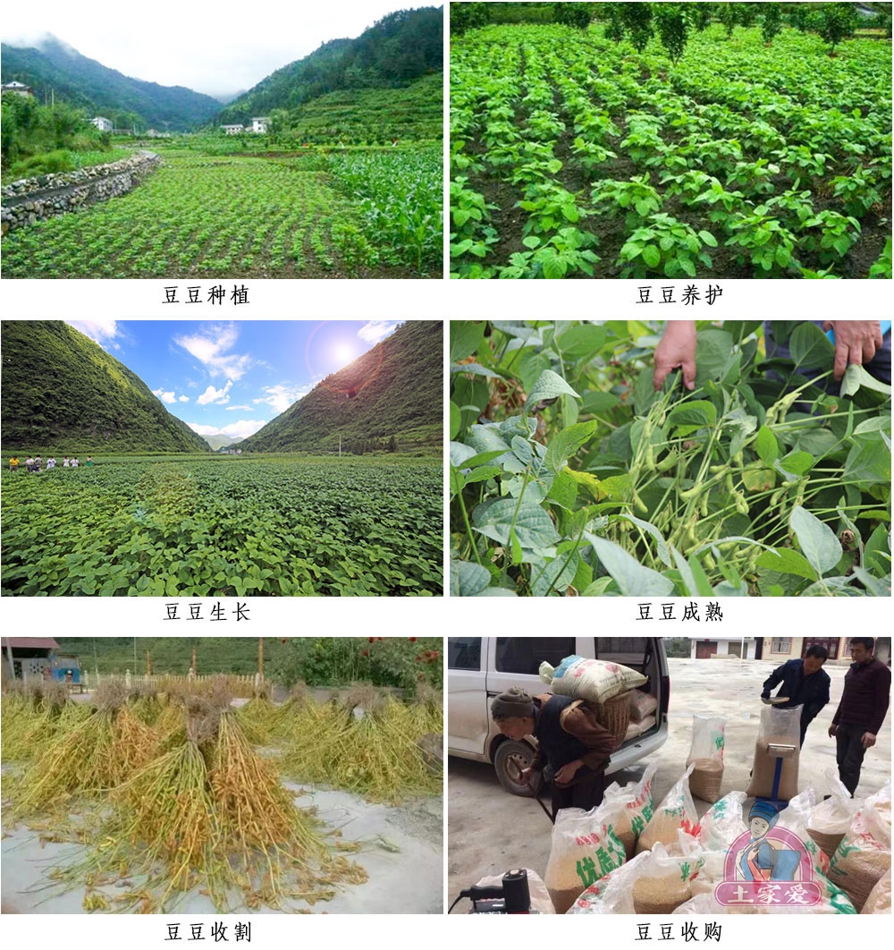 1567064809516389.jpg 1566955347273518.jpg